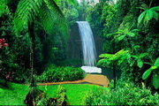 Queensland Waterfall