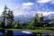 Mountain Rainier Snow