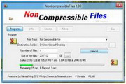 NonCompressibleFiles