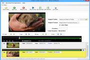 Free Video Cutter Expert
