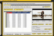 Bisn DVD to Video Ripper