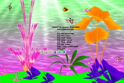 Clownfish Aquarium Screensaver