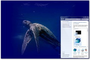 Sea Turtle Windows Theme