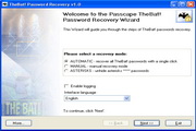 TheBat! Password Recovery