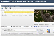 UM DVD to MP4 Video Converter