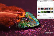 Feather Drops Windows 7 Theme