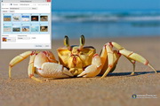 Crab Windows 7 Theme
