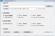 文本编码转换专家