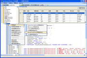 广州爱奇迪Database2Sharp