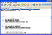 Free Download Manager