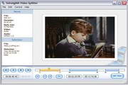 SolveigMM Video Splitter Business Edition