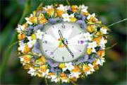 Love Flower Clock ScreenSaver