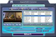 Bigasoft MKV Converter