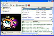 Sothink Web Video Downloader