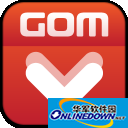 多媒体播放工具(GOM Media Player)