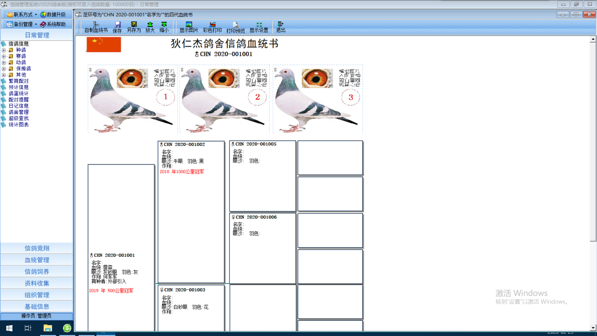 信鸽管理系统V2020