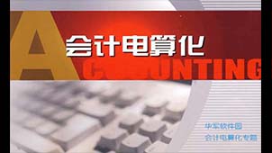 会计电算化软件专题