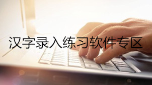 汉字录入练习专题
