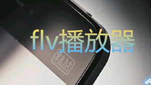 flv是什么格式