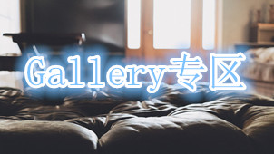 Gallery专区