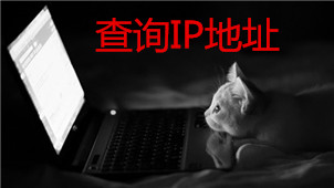 查询ip地址软件大全