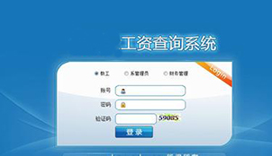 工资查询系统