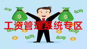 工资管理系统专区
