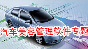 汽车美容管理软件专题
