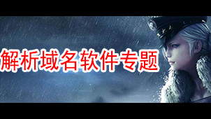 解析域名软件专题