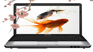 台式机网卡驱动集合