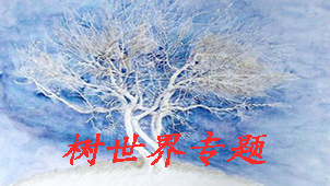 树世界专题