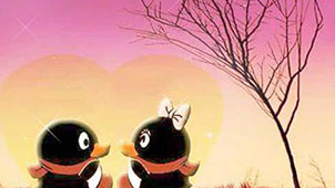 qq强制视频专题