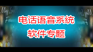 电话语音系统软件专题