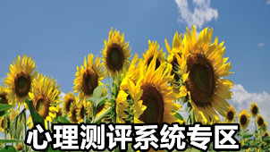 心理测评系统专区