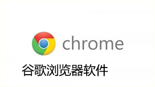 谷歌浏览器软件