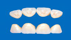 义齿加工厂专题