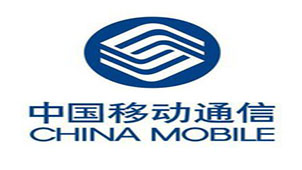 移动查询流量专题