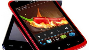 北斗小辣椒专题