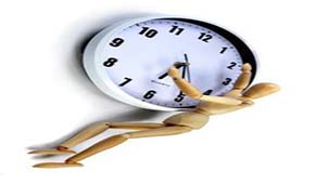 人体生物钟专题