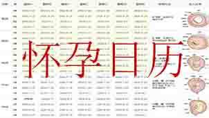 怀孕日历大全