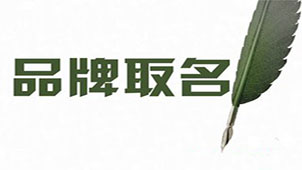 品牌起名软件专题