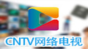 cntv客户端下载专题