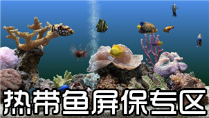 热带鱼屏保专区