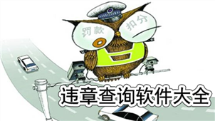 违章查询软件专区