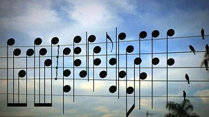 音乐简谱软件专题