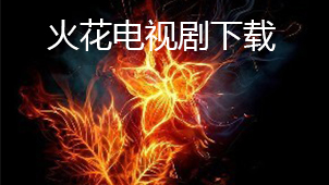 火花电视剧下载