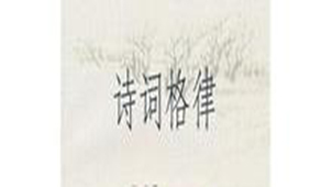 诗词格律专题