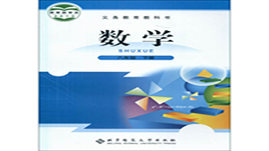 初中数学题专题