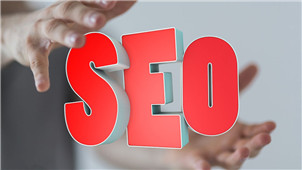 SEO综合查询专区