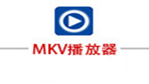 mkv播放器专题